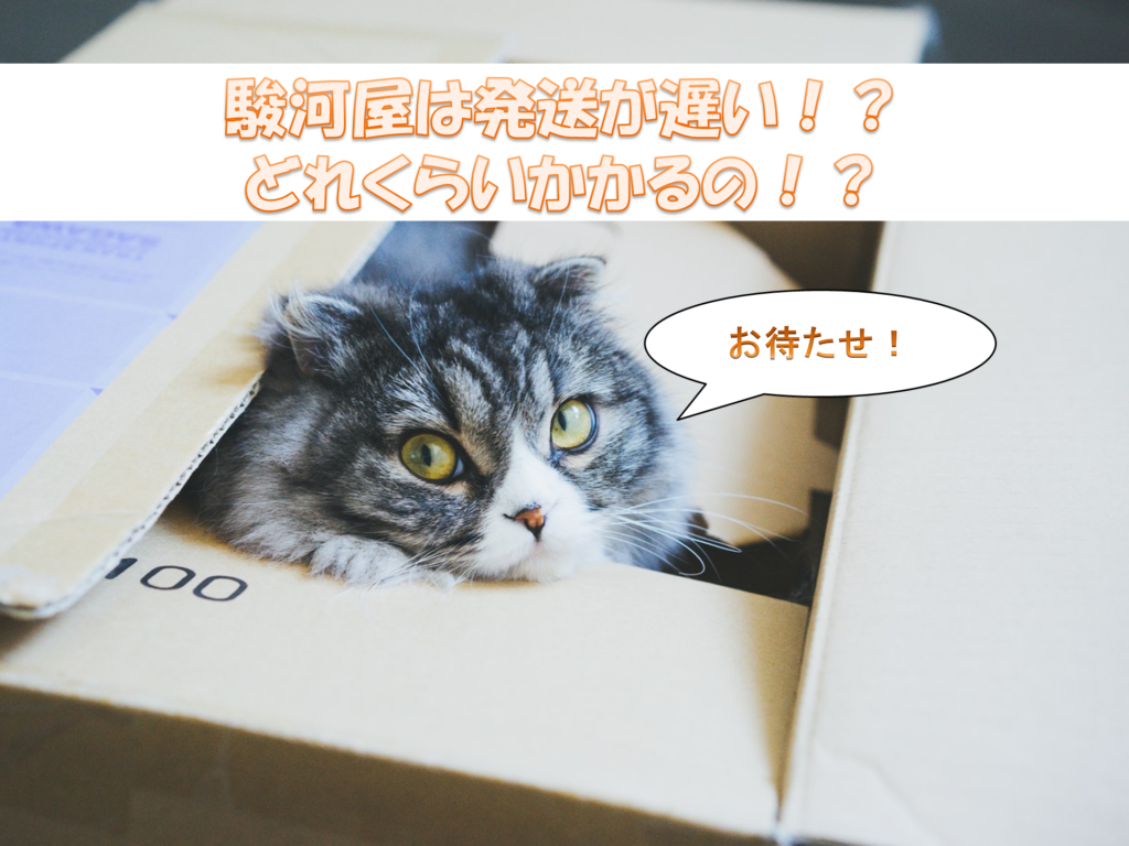 年 駿河屋の評判と発送が遅い件について 耐えられない オオカミの音